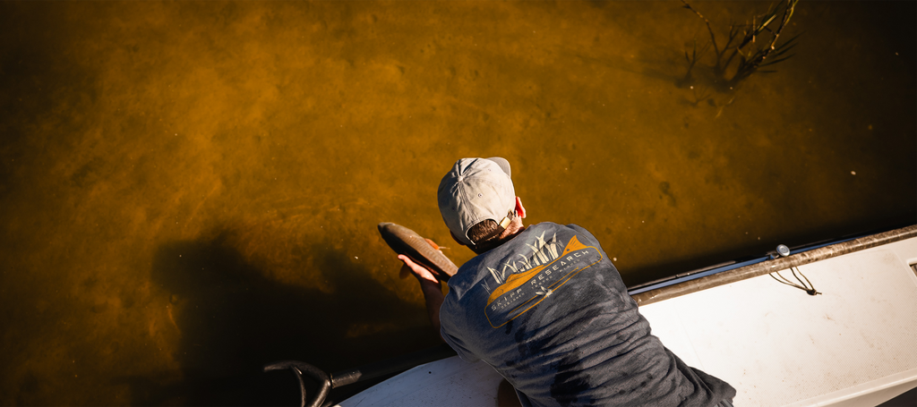 Merkin And The Red | Anthracite